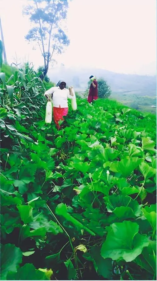 팜스테이 Orange Valley Farm Resort 무나르
